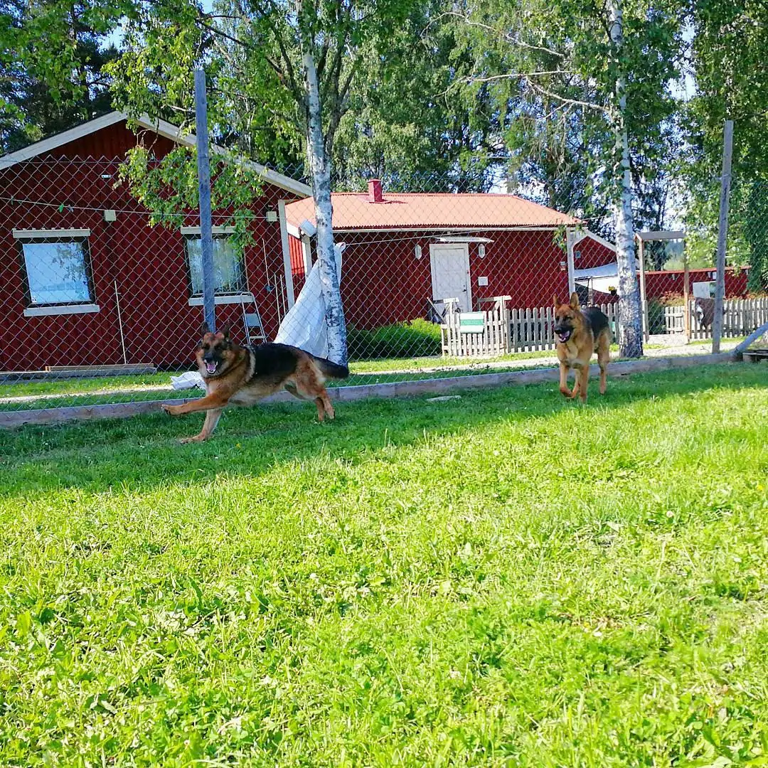 bild3