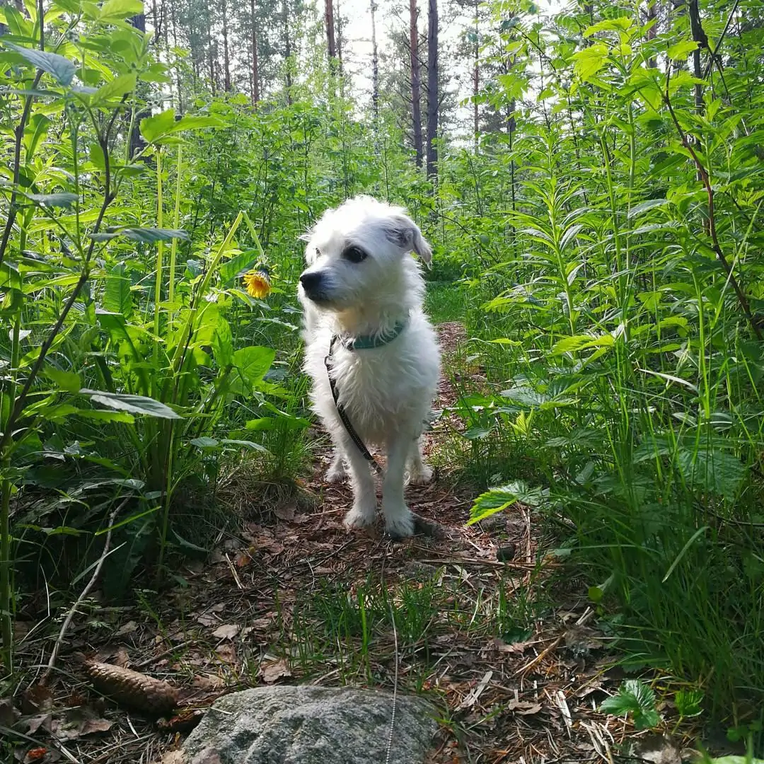 bild4
