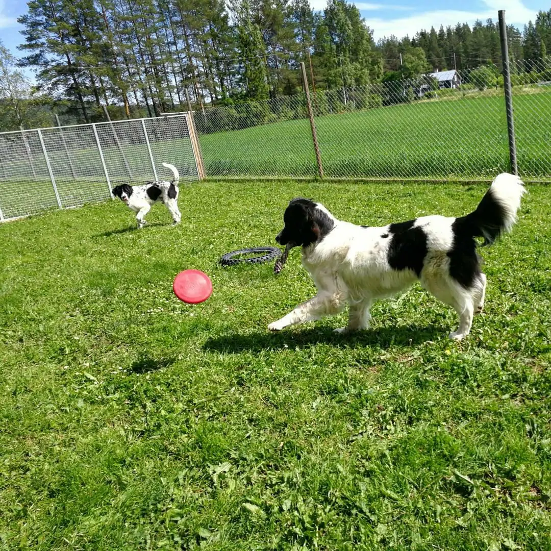 bild6